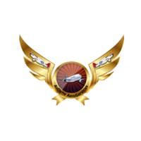 AvDyne AeroServices logo