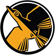 doubleraven logo