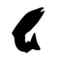 Fish Run Games SIA logo