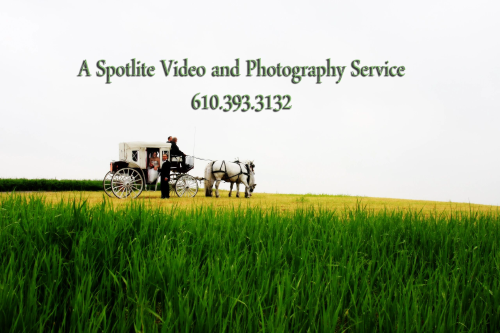 a spotlite video and photography service logo