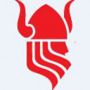 viking oman oilfield services logo